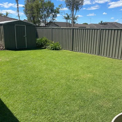 After: Storm-split messmate made safe overnight, Monbulk