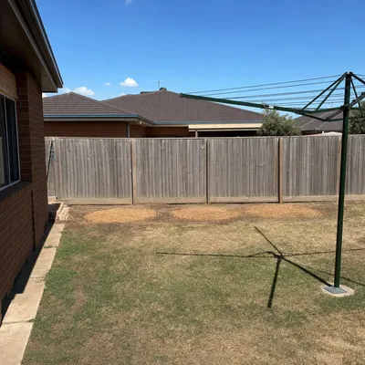 After: Candlebark crown reduced over a driveway, Monbulk