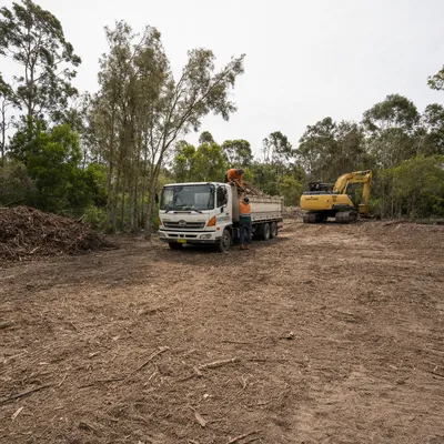 Land Clearing