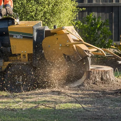 Stump Grinding