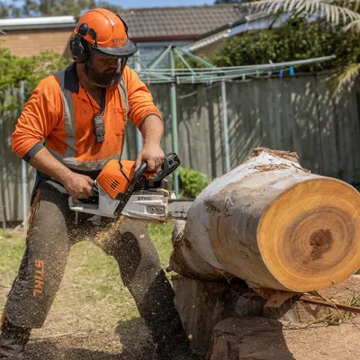 Tree Removal