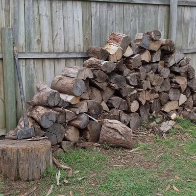 Logs cut and stacked for firewood, Monbulk