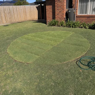Stump ground 150–300mm below grade, Monbulk